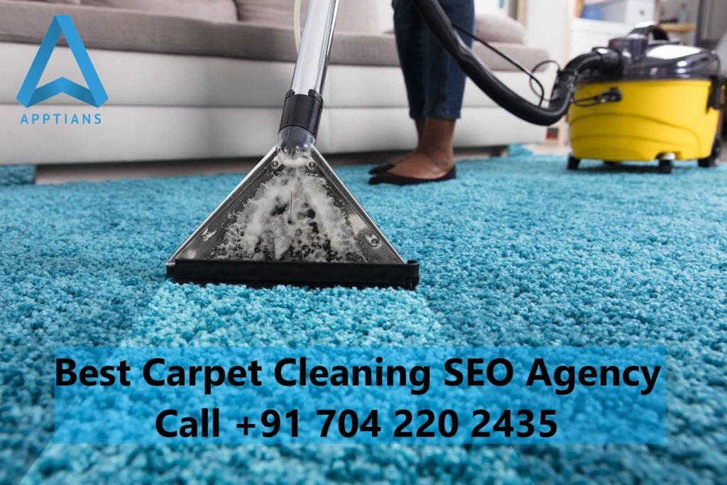 Best Carpet Cleaning SEO Agency in Delhi NCR