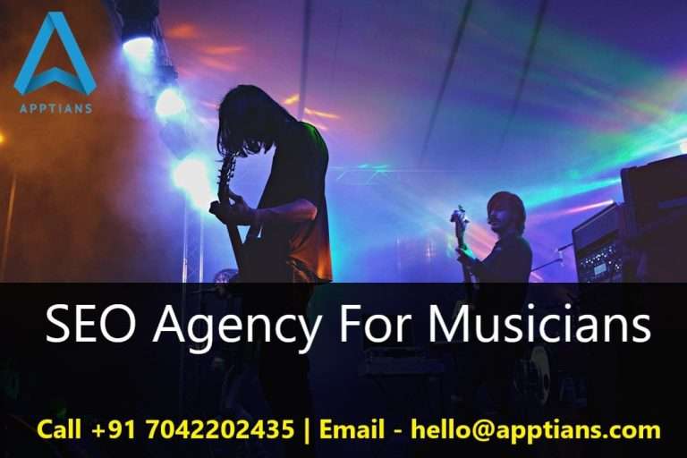 SEO Agency For Musicians in Delhi