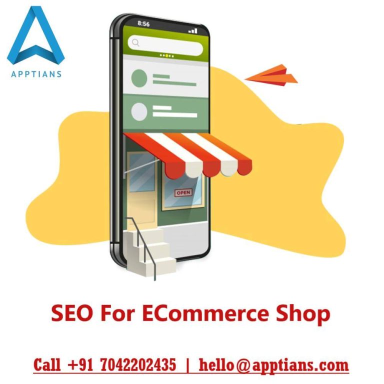 SEO For ECommerce Shop in the USA
