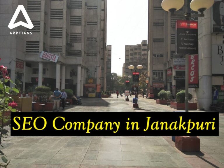 SEO Company in Janakpuri